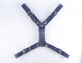 Playdate chest harness